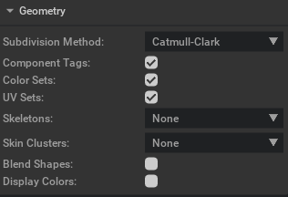 An image of the options geometry, including subdivision model, skeletons, skins, and blendshapes.