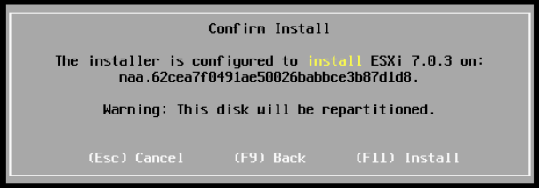 _images/dg-installing-esxi-12.png